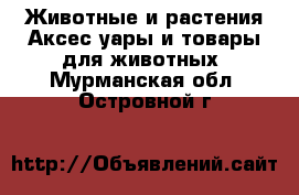 Животные и растения Аксесcуары и товары для животных. Мурманская обл.,Островной г.